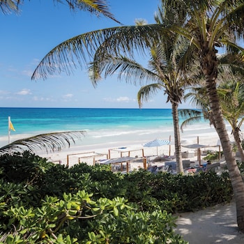 la zebra tulum a small luxury hotel