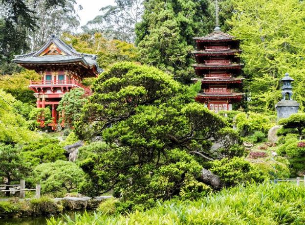 rodeway inn and suites san francisco great highway