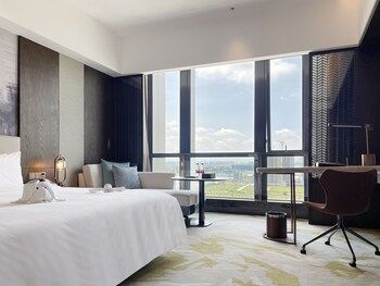 white swan vyv hotel