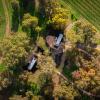 cabn x mclaren vale