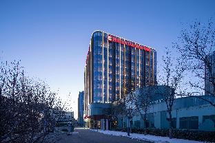 hilton garden inn beijing daxing jinyuan road