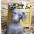 dog house by greene king inns