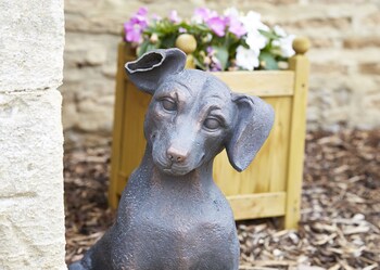 dog house by greene king inns
