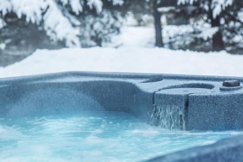 mont tremblant