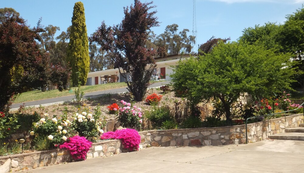 clare valley motel