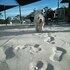 clare valley motel