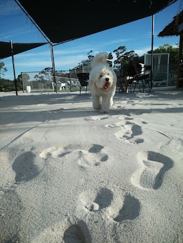 clare valley motel