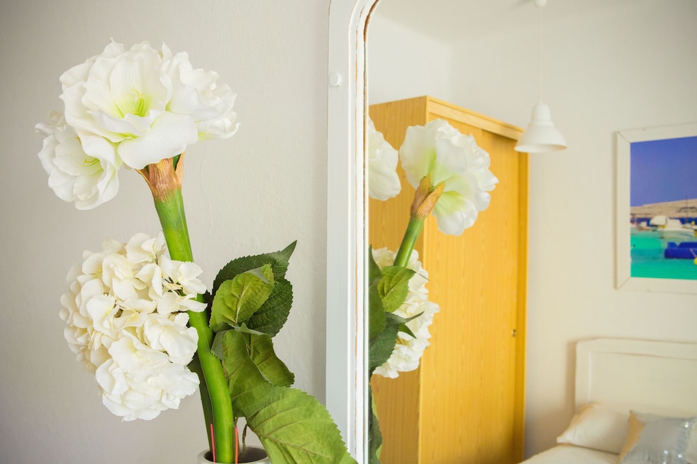 sant antoni de portmany