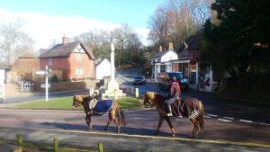The Burley Inn,Bransgore>>Bournemouth,3 star