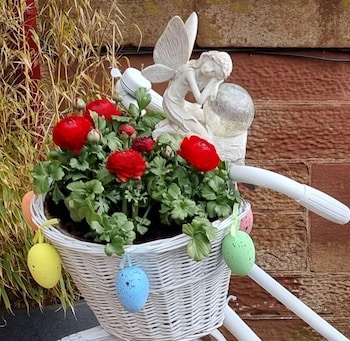 st leonards guest house