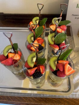 st leonards guest house