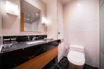 hotel biz inn