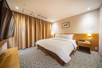 hotel biz inn