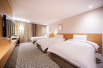 hotel biz inn