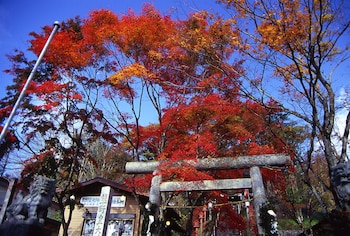 kyukaruizawa kikyo curio collection by hilton