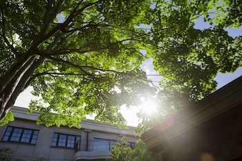 kyukaruizawa kikyo curio collection by hilton