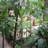 la niche d angkor boutique hotel