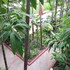 la niche d angkor boutique hotel