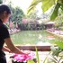 la niche d angkor boutique hotel