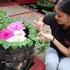 la niche d angkor boutique hotel