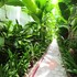 la niche d angkor boutique hotel