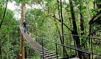 monteverde