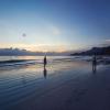 seashell havelock