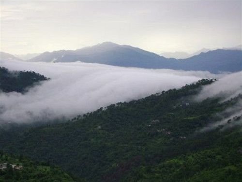 kasauli