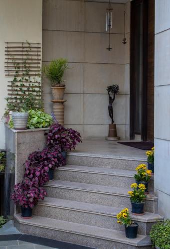 perch service apartment sector 40