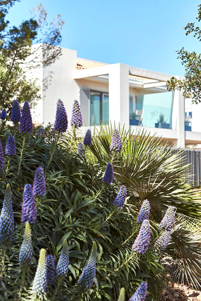 sant josep de sa talaia