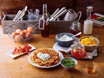 ibis frankfurt centrum