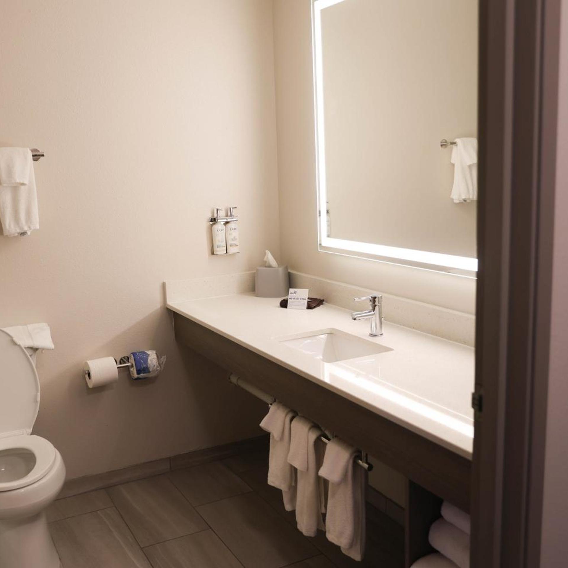 holiday inn express hotel and suites douglas by ihg