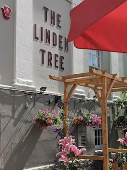the linden tree