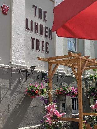 the linden tree