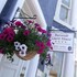 the burnside guest house
