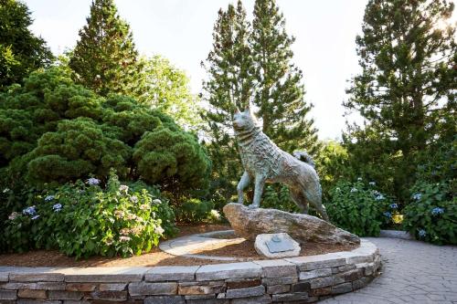 graduate by hilton storrs