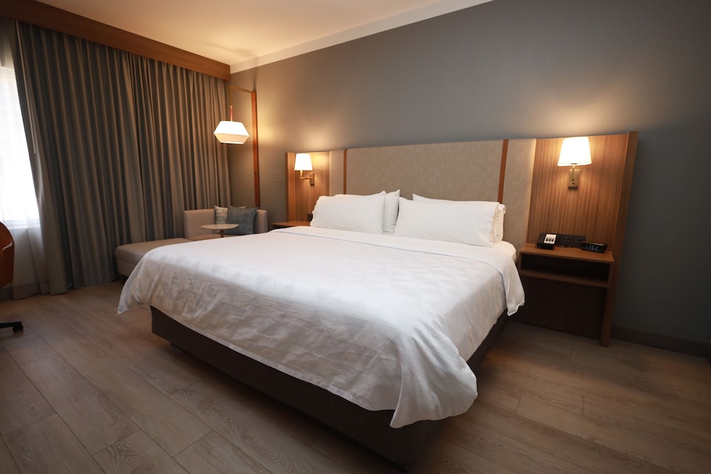holiday inn durango an ihg hotel