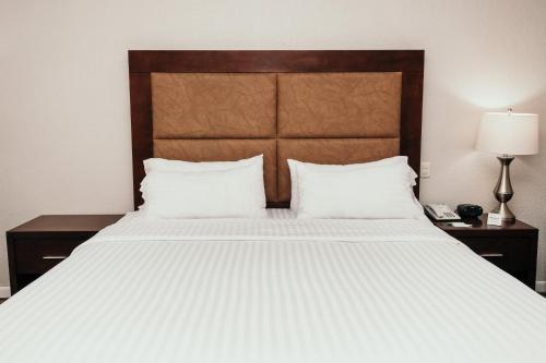 holiday inn durango an ihg hotel