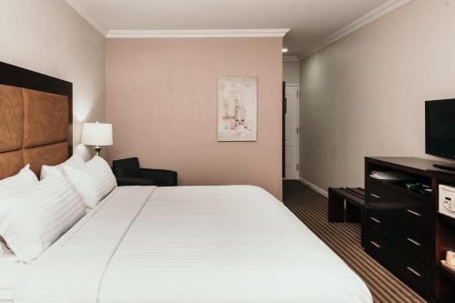 holiday inn durango an ihg hotel