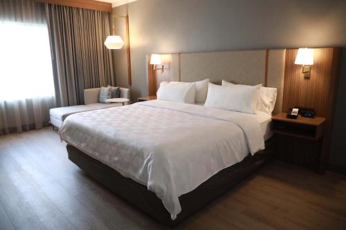 holiday inn durango an ihg hotel