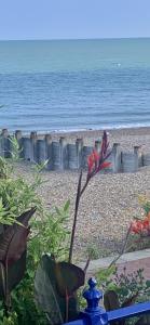 eastbourne