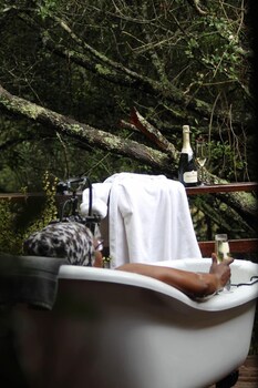 barefoot addo elephant lodge