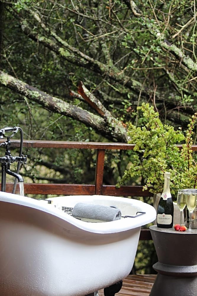 barefoot addo elephant lodge