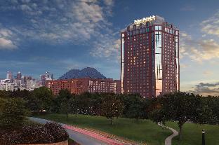 hilton anatole