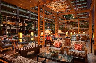 hilton anatole
