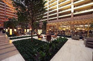 hilton anatole