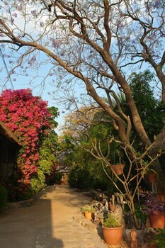 toko kamanjab lodge and safari