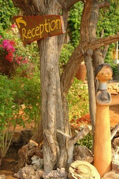toko kamanjab lodge and safari