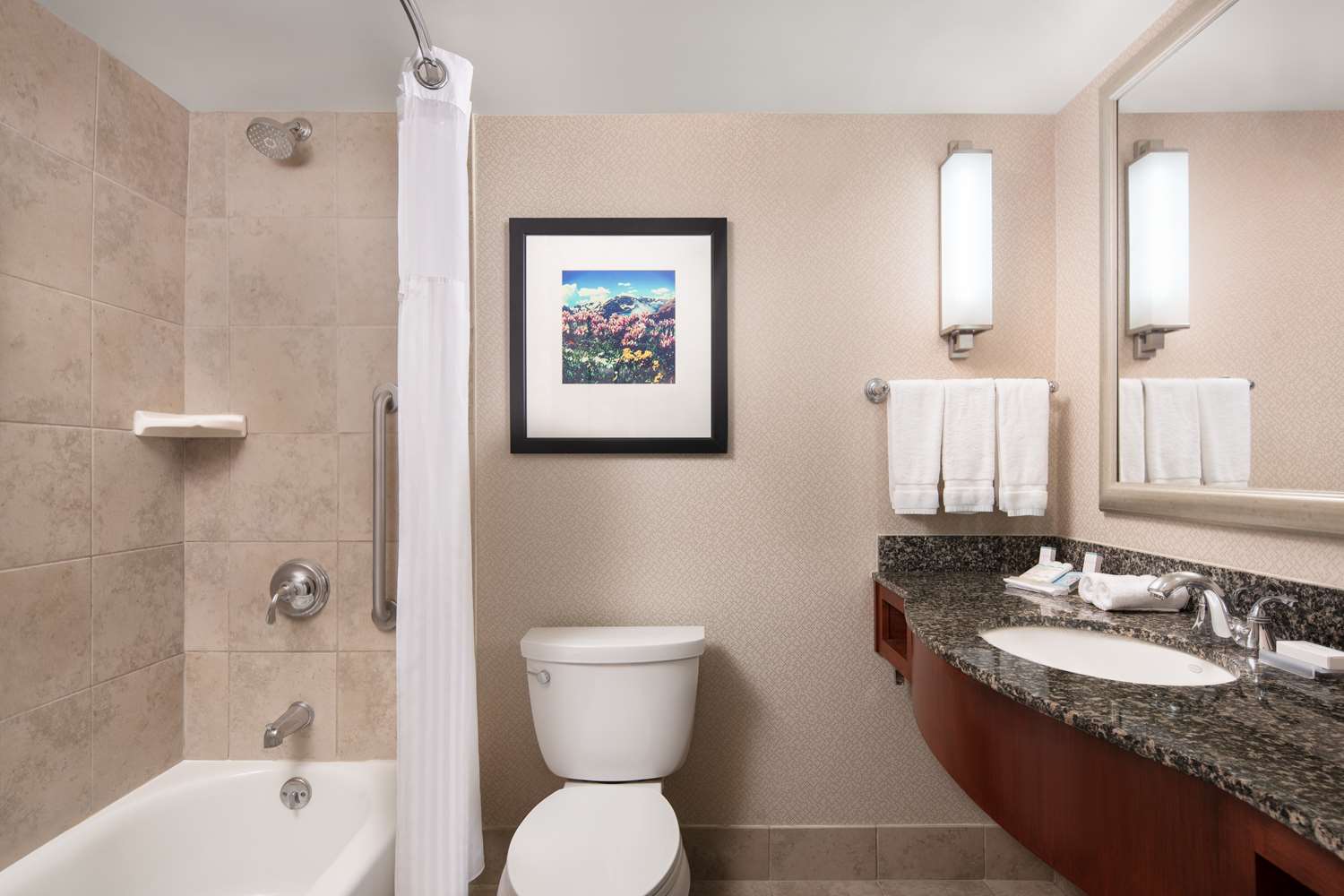 hilton garden inn denver downtown