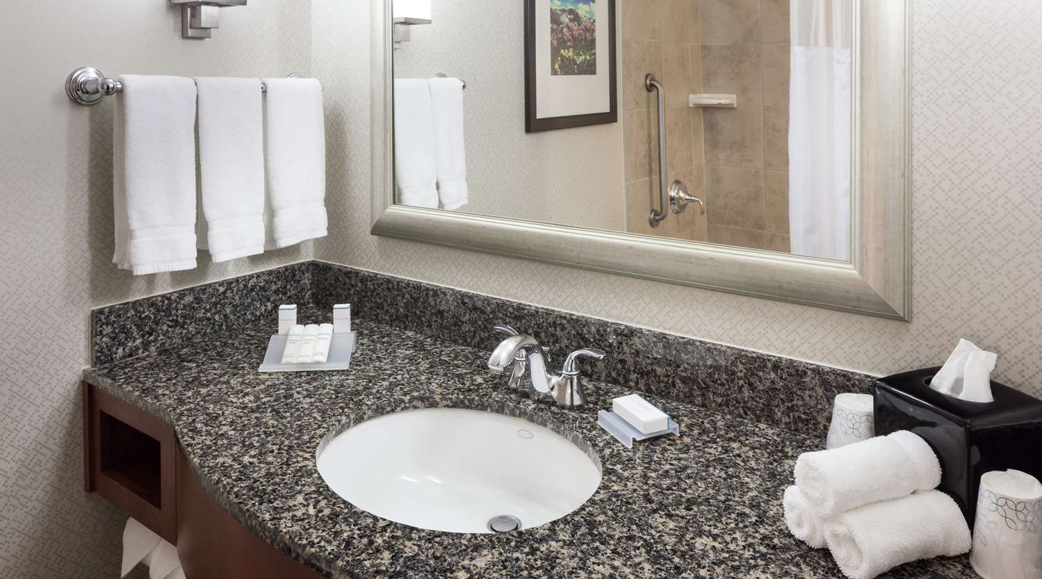hilton garden inn denver downtown